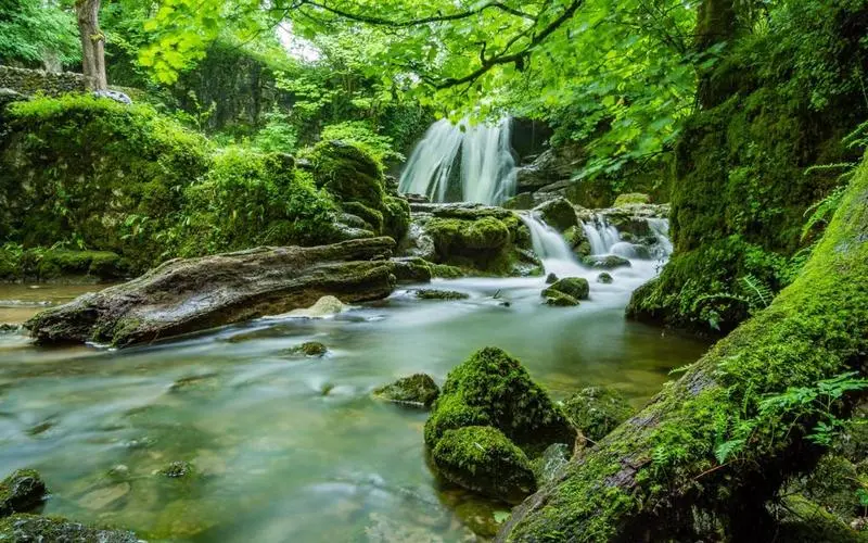 智能化高效